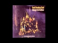David Bromberg - Wonderful World