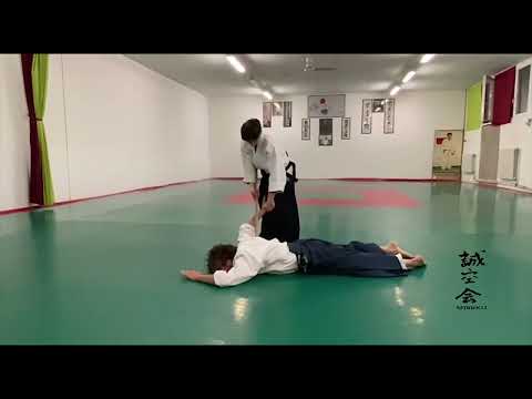 Aikido - Jo nage waza e jo dori