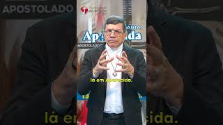 🙏✨ Vem aí a 47ª Romaria Nacional em Aparecida do Norte!