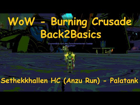 World of Warcraft - Burning Crusade | Back2Basics | Anzu Run | Palatank
