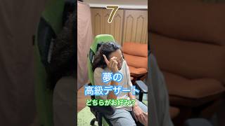 【100の質問】65こ目 #まぐにぃ #shorts #実写