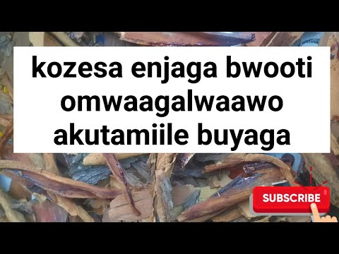 Omwaagalwaawo mulunge n'enjaga akutamiile, tosubwa ekyaama ekili mu njaga