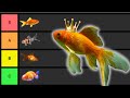Goldfish Breeds Which Ones Are Worth Your Pond Or Tank
