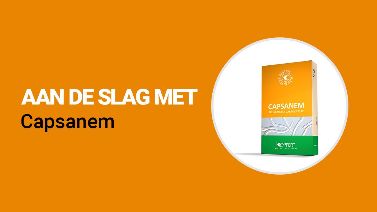 Video preview poster