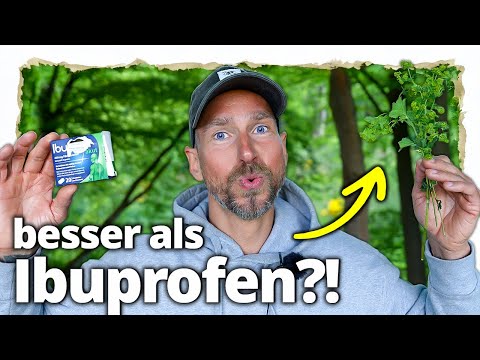 Besser als Ibuprofen? Diese Heilpflanze ist einfach STARK!