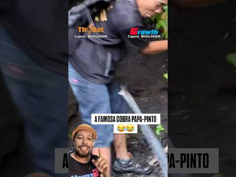 ESSA É A FAMOSA COBRA PAPA-PINTO 😂#bioaldemir #curiosidades #animais