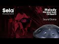 Sela 308 Melody Handpan C# Kurd thumbnail 10