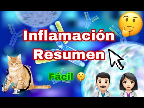 INFLAMACIÓN CRÓNICA: UN RESUMEN
