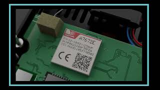 CORA | Jedno serce, ale dwa mózgi