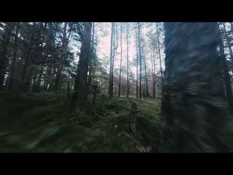 Epic Drone Adventure: Exploring the Enchanting Latvian Forest with Insta Go 2! 🌲🚁