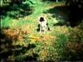 LWT Adverts 1999