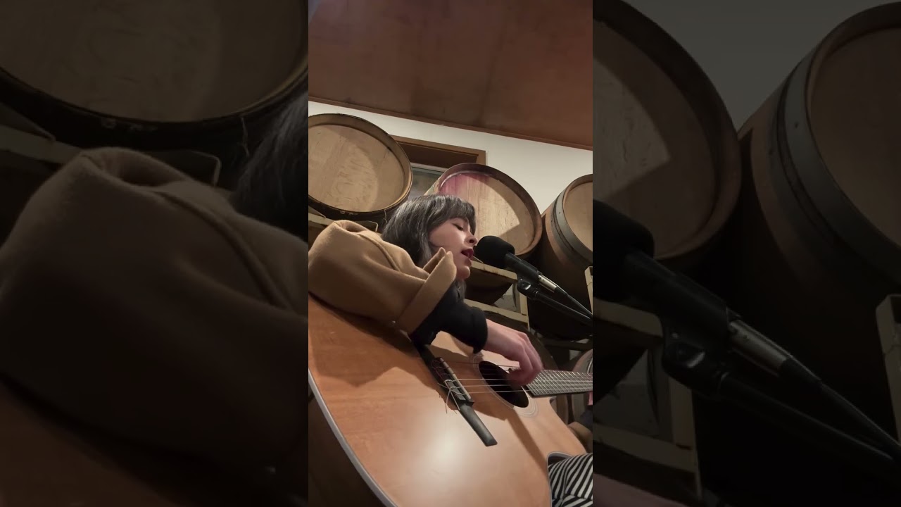 Promotional video thumbnail 2 for Bronwen Roberts Music