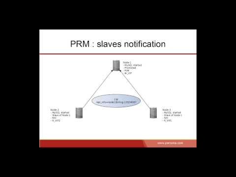 Dark corners of the MySQL code base Daniel Black Percona Live Online 2020