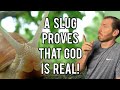 This is how SLUGS prove that God exists...