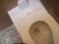 101 2725 Mov