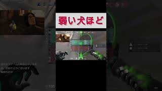 トロールする味方に講釈を垂れまくった結果【VALORANT】#VALORANT #FPS #トロール #害悪プレイヤー #twitch #shorts