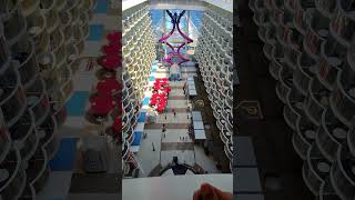First Time on the Allure of the Seas Amplified in Rome Italy! #shorts  #cruiseship