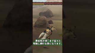 実力関係無く地獄に落ちるかもしれないクソクエ～黄金魚の納品～【MHP2g】