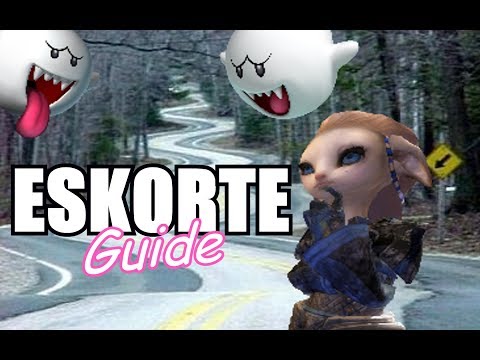 GW2 Raids: Eskorte Guide