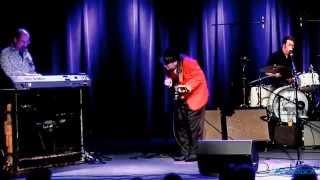 Ronnie Earl and The Broadcasters Live @ Blue Ocean Music Hall 2/28/15