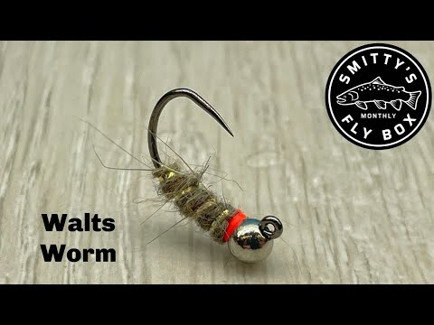 Walts Worm
