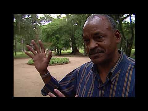 Jogos para Sempre - Corinthians 0 x 2 Fluminense 1984