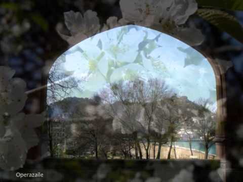 Jessye Norman: Liederkreis Op.39 by Schumann