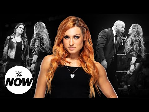 Fight Size Update: WWE Stars Support Chris Jericho, WWE Fastlane Local Ad, Stephanie McMahon, More