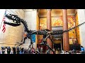 New York City Walking Tour (American Museum of Natural History) 2021