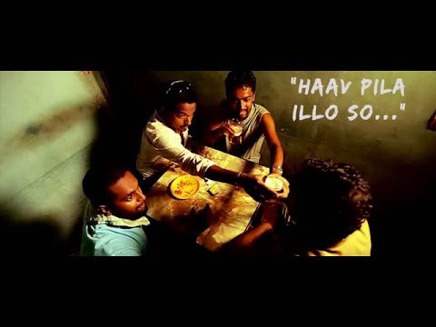 Anamika Banerjee Nagarsekar  Hav Pila Illo So