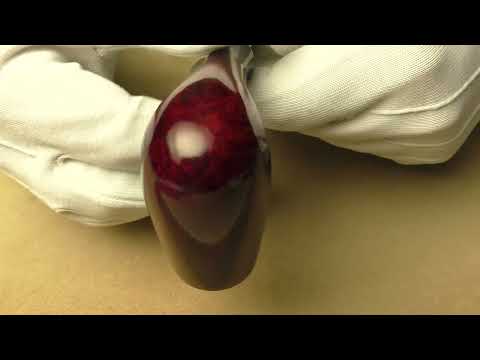 Radice Rubino G - pipe 1648