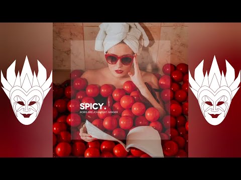 Boris Brejcha Feat. Ginger - Spicy (Original Mix)
