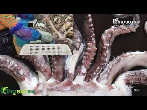 Wholesale BQF Freezing Frozen Giant Squid Tentacle frozen Peru Dosidicus Gigas
