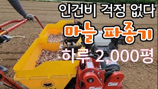 마늘 파종기 하루 2,000평 인건비 걱정 뚝!!   홍산마늘 심었어요