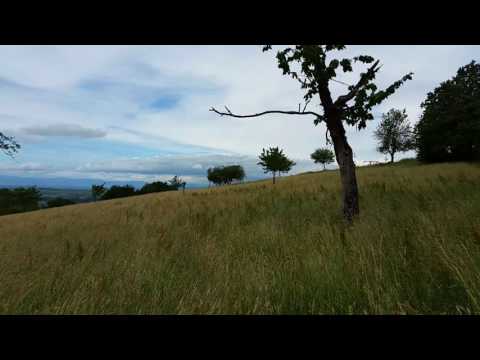 Berghauser Wiesen, Drehort des Films JESUS LIEBT MICH