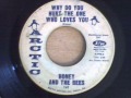 HONEY AND THE BEES - WHY DO YOU HURT THE ...