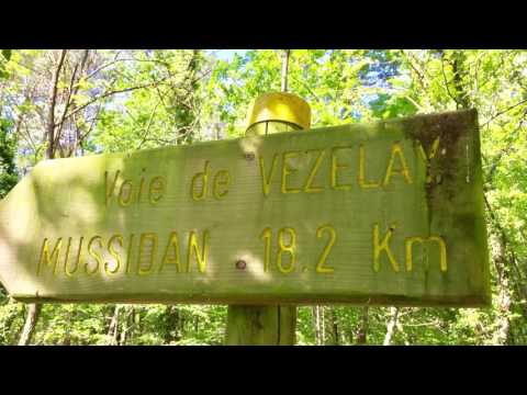 Mein Jakobsweg 2017 - Tag 21 Saint Astier - Mussidan