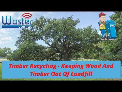 Timber Recycling 🌳 How To Recycle Wood And Timber