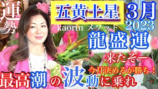 今年最初のビックウェーブ来たー【五黄土星2023年3月の運勢】心の豊かさと現実を豊かに創造する九星気学の運命好転術の奥義とスピリチュアル『真理』の視点から真の開運方法をお伝えします