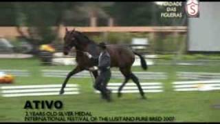 preview picture of video 'HERDADE DAS FIGUEIRAS - LUSITANO HORSES'