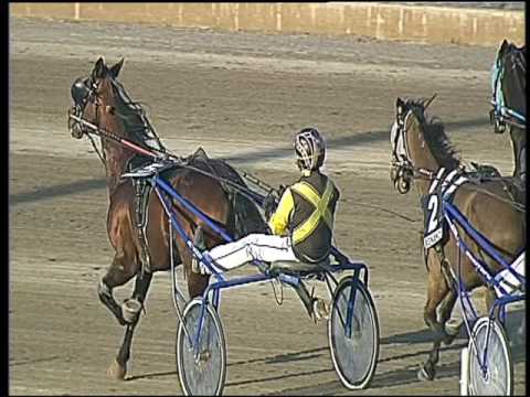 Trotto 12/03/2017 - 5ª corsa