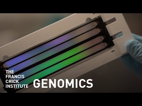 What Is Genomics?