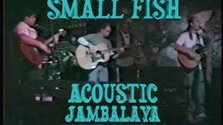 Small Fish - Acoustic at the Jambalaya 1991