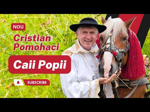 [OFICIAL] Cristian Pomohaci - Caii Popii