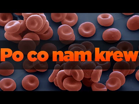Maść rozciągania mięśni i więzadeł nazwy Nazwa na ćwiczenia mięśni piersiowych