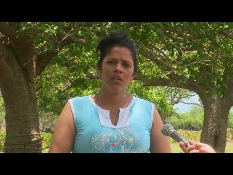 Feria Expocolosal en Holguín