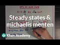 Steady States And The Michaelis Menten Equation Biomolecules MCAT Khan Academy