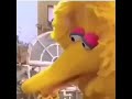 Whats Autism Sesamestreet Shorts Memes Bigbird