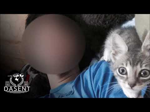 DISTANTIGO (2da parte) - Dasent