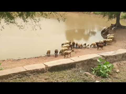 Saiyaara Title Song | Ahaan Panday, Aneet Padda | Tanishk Bagchi, Faheem A, Arslan N | Irshad Kamil